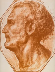 Estudio de la cabeza de un hombre